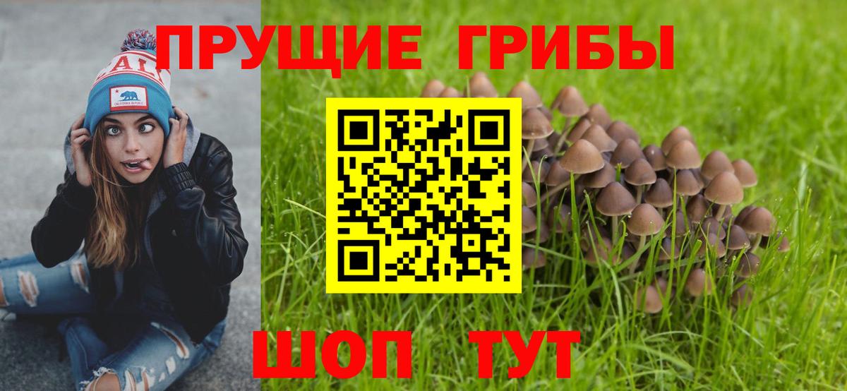 Галлюциногенные грибы Magic Shrooms Урай